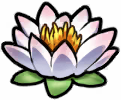 《四叶草剧场》白莲花介绍