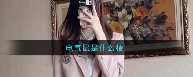 电气鼠是什么梗