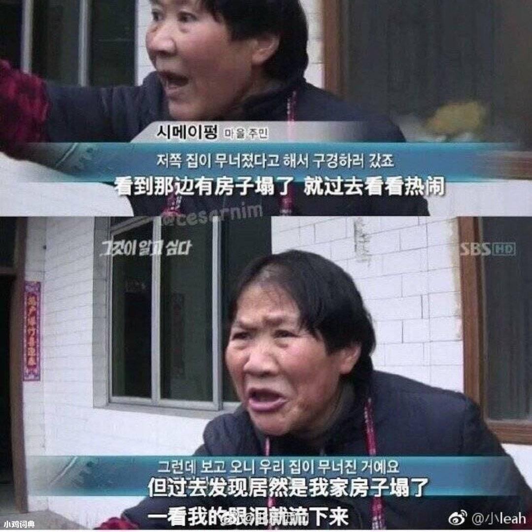 我家房子塌了是什么梗