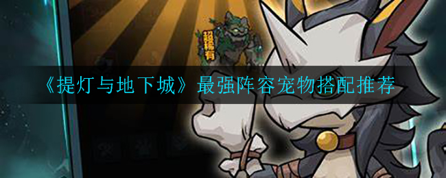 《提灯与地下城》最强阵容宠物搭配推荐