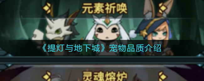 《提灯与地下城》宠物品质介绍