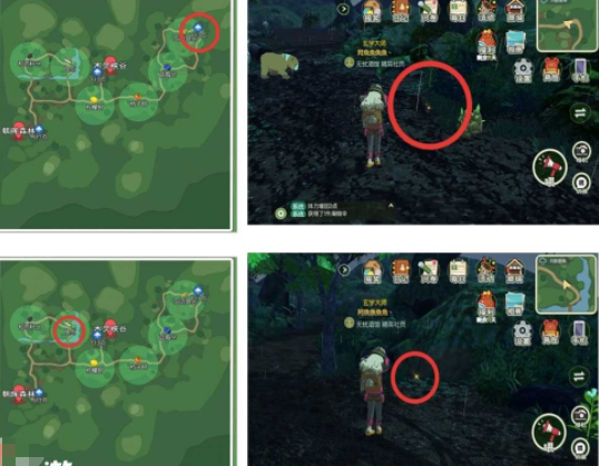 《小森生活》稀有虫点位置分布大全