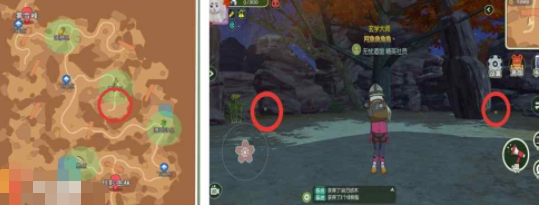 《小森生活》稀有虫点位置分布大全