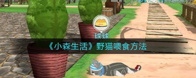 《小森生活》野猫喂食方法