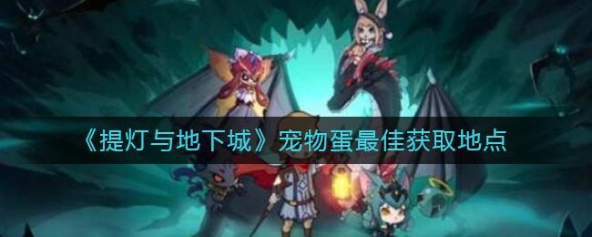 《提灯与地下城》宠物蛋最佳获取地点
