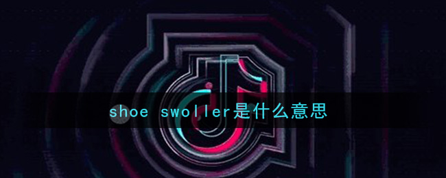 shoe swoller是什么意思