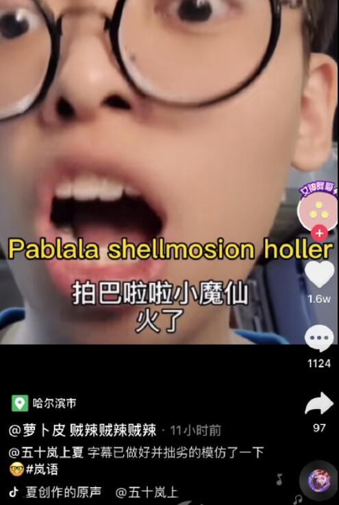 shoe swoller是什么意思
