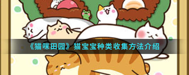 《猫咪田园》猫宝宝种类收集方法介绍