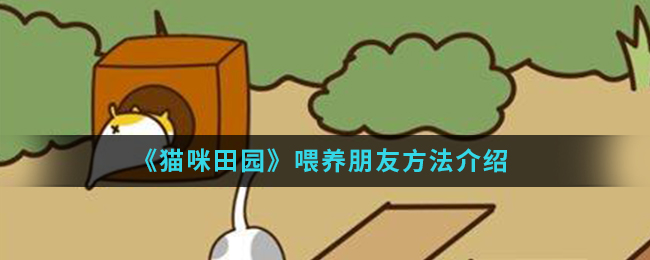 《猫咪田园》喂养朋友方法介绍