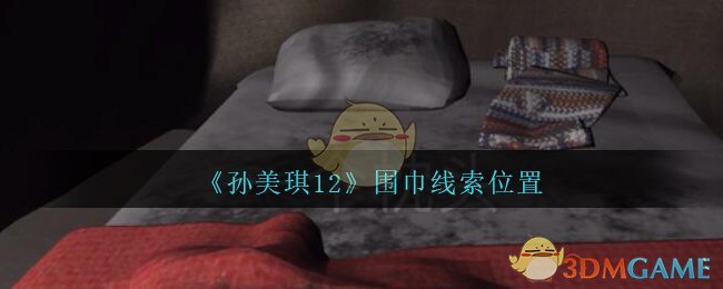 《孙美琪疑案：12》四级线索——围巾