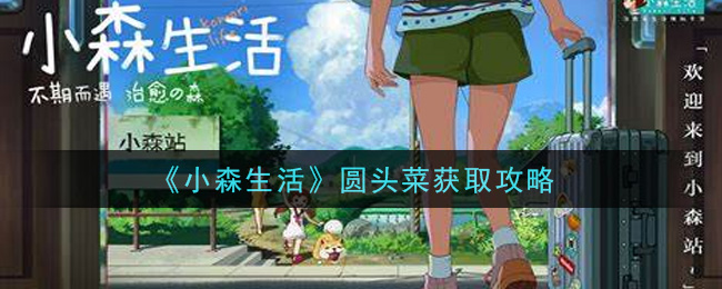 《小森生活》圆头菜获取攻略