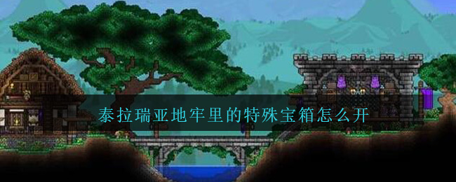 泰拉瑞亚地牢里的特殊宝箱怎么开