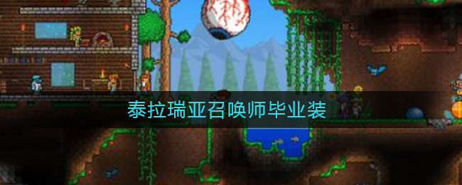 泰拉瑞亚召唤师毕业装