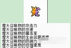 泰拉瑞亚召唤师毕业装