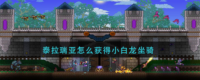泰拉瑞亚怎么获得小白龙坐骑