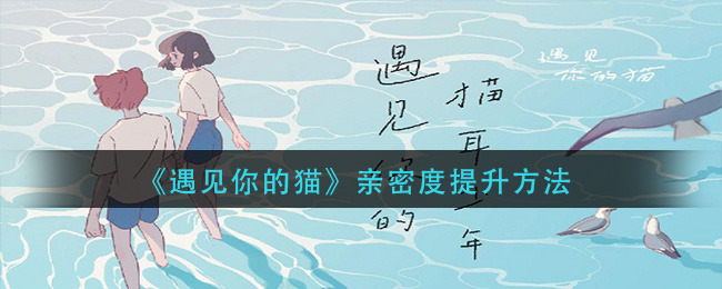 《遇见你的猫》亲密度提升方法