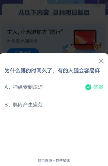 为什么蹲的时间久了，有的人腿会容易麻