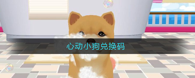 心动小狗兑换码