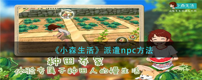 《小森生活》派遣npc方法