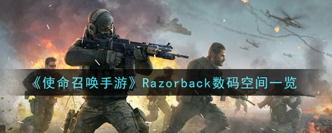 《使命召唤手游》Razorback数码空间一览