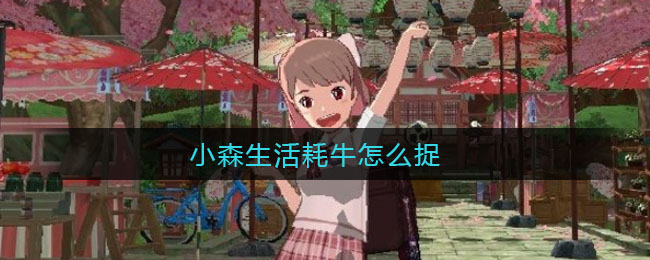 小森生活耗牛怎么捉