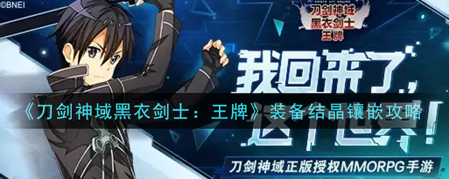 《刀剑神域黑衣剑士：王牌》装备结晶镶嵌攻略