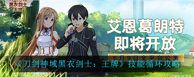 《刀剑神域黑衣剑士：王牌》技能循环攻略