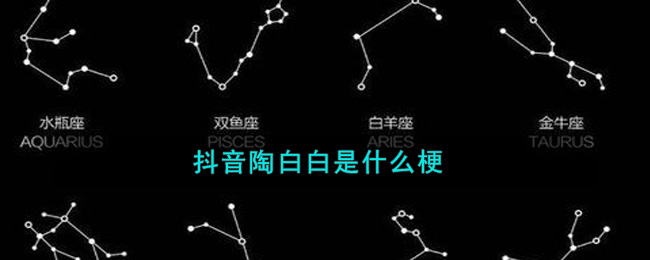 抖音陶白白是什么梗