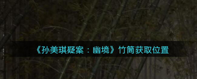 《孙美琪疑案：幽境》五级线索——竹筒