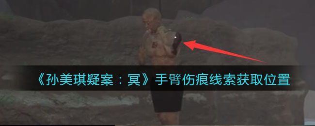 《孙美琪疑案：冥》四级线索——手臂伤痕
