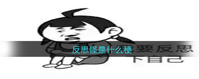 反思怪是什么梗