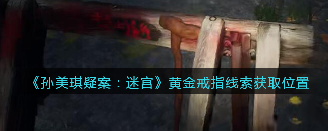 《孙美琪疑案：迷宫》五级线索——黄金戒指