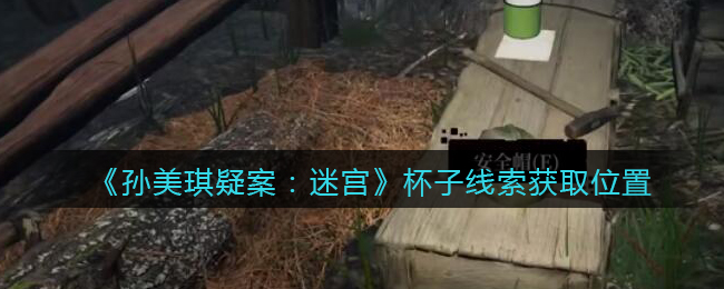 《孙美琪疑案：迷宫》五级线索——杯子