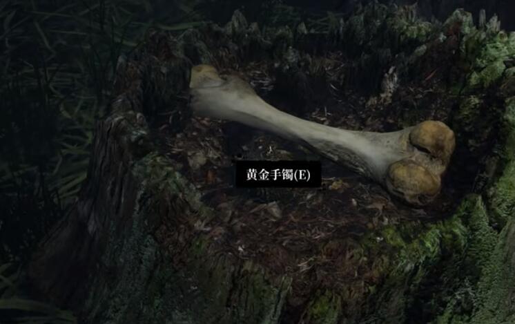 《孙美琪疑案：迷宫》五级线索——黄金手镯