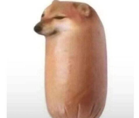 香肠狗表情包