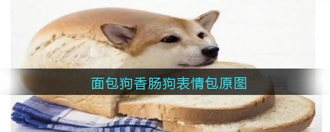 面包狗香肠狗表情包原图