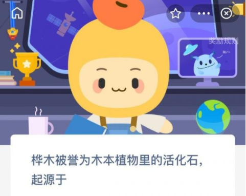 桦木被誉为木本植物里的活化石起源于