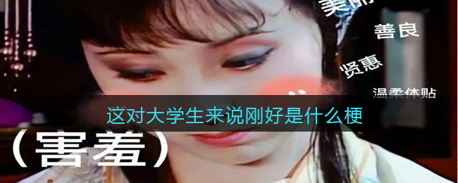 这对大学生来说刚好是什么梗