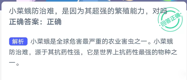 小菜蛾防治难是因为其超强的繁殖能力对吗