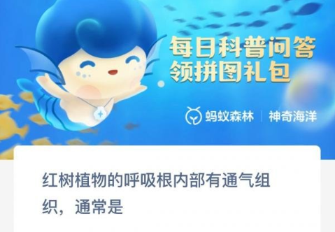 红树植物的呼吸根内部有通气组织通常是