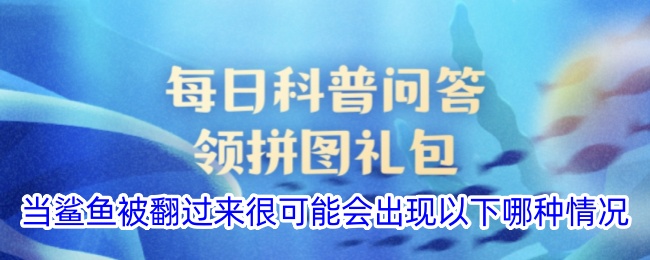 当鲨鱼被翻过来很可能会出现以下哪种情况