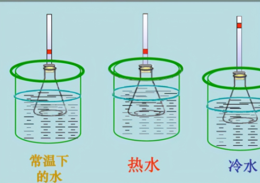 《支付宝》蚂蚁庄园11月答案大全2024