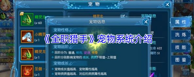 《全职猎手》宠物系统介绍