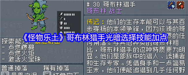 《怪物乐土》哥布林猎手光暗选择技能加点