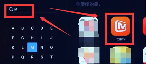 芒果tv电视端叫什么