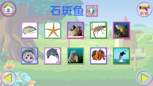 百科 飞鸟海洋版手机软件app截图