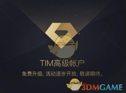 《TIM》升级为高级账户方法介绍