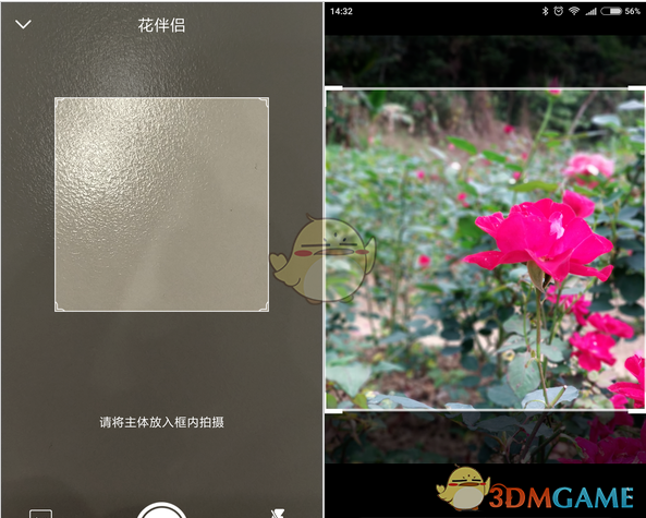 《花伴侣》使用方法介绍