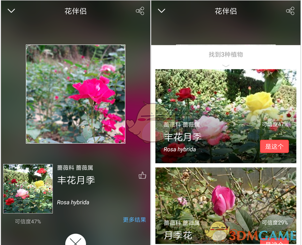 《花伴侣》使用方法介绍