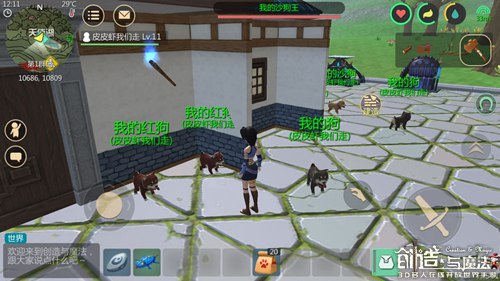 创造与魔法狗在哪里抓